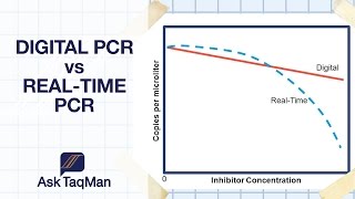 Digital PCR vs Realtime PCR  Ask TaqMan 30 [upl. by Georgia642]