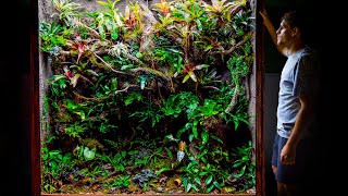 Giant DIY 600 Gallon Jungle Vivarium [upl. by Ennaillek]