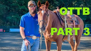 Training a OTTB Part 3 [upl. by Bertie]