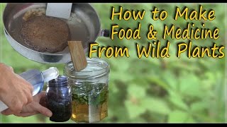 Wild Edible amp Medicinal Plant Recipes  A Video Guide [upl. by Putnam]