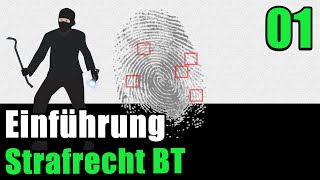 Strafrecht BT 01  Einführung [upl. by Avi]