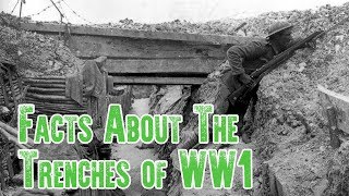 Trench Warfare Facts  The Trenches of WW1 [upl. by Emeric788]