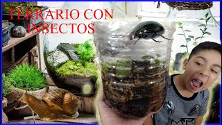 COMO HACER UN TERRARIO CON INSECTOS [upl. by Seton]