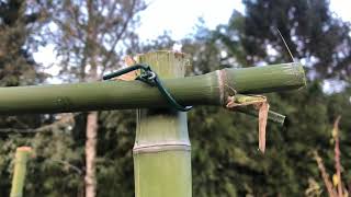 Structures en bambous au potager [upl. by Gardy]