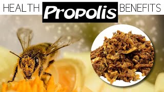 BEE PROPOLIS BENEFITS plus How To Source BioActive Propolis [upl. by Anaili230]