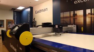 Eastman Conveyor Cutting System [upl. by Rebba]