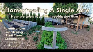 Our 1 Acre Homestead  How We Micro Farm [upl. by Ahsanat]