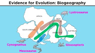 The Evolution of Populations Natural Selection Genetic Drift and Gene Flow [upl. by Idalia]