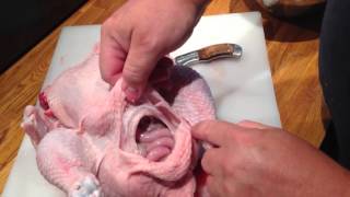 Éviscération dun poulet fermier  how to eviscerate a chicken french [upl. by Enomes]