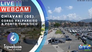 Chiavari Live cam  Corso Valparaiso amp Porto Turistico [upl. by Duck]