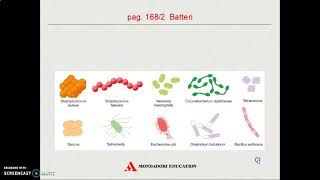 Contaminazione biologica e MTA prima parte [upl. by Studdard383]