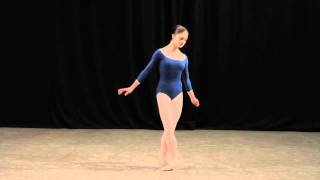 Insight Ballet Glossary  Arabesques [upl. by Nnaed]