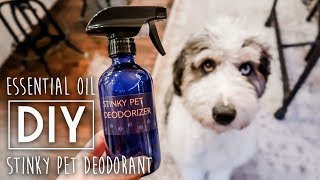 DIY Stinky Pet Deodorizer Spray [upl. by Ander492]