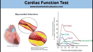 In My Opinion Biomarkers for the Diagnosis of Prostate Cancer [upl. by Eyllek]