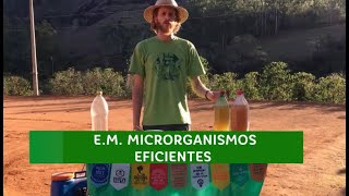 Aprendendo a fazer e utilizar EM Microrganismos Eficientes [upl. by Alidia]