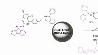 Fmoc Solid Phase Peptide Synthesis [upl. by Pieter]