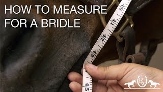 How to Measure for a Bridle [upl. by Gillespie]