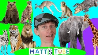 Wild Animals  Matts Tube 1  Learning Wild and Zoo Animals for Kids [upl. by Bergstein137]