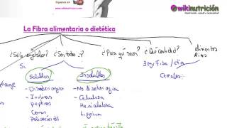 La fibra alimentaria o dietética  wikinutrición [upl. by Ettenirt]