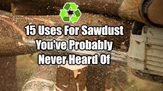 15 Ways To Reuse Sawdust [upl. by Sybley]