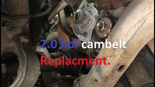 Peugeot 407 20 Hdi CambeltTiming belt replacement  Detailed Version [upl. by Nylevol]