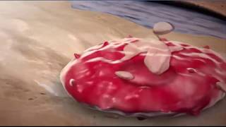 cell and tissues in human body  Biology human Anatomy  3D Animation [upl. by Adnohsek80]