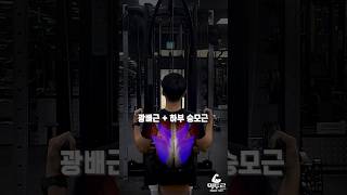 랫풀다운 맥그립 종류별 자극 부위 [upl. by Deanne]