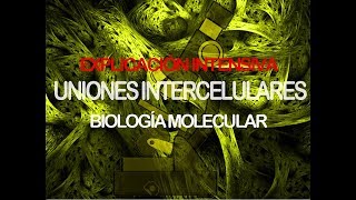 Uniones intercelulares  HistologíaBiología molecular [upl. by Akimat]