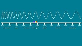 ELECTROMAGNETIC SPECTRUM SONG  Science Music Video [upl. by Hooper]