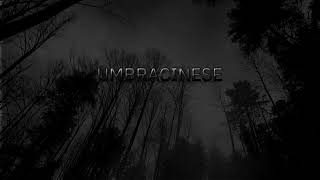 Umbracinese  Subliminal [upl. by Champ]