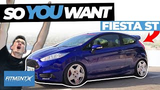 So You Want a Ford Fiesta ST [upl. by Anahsat]