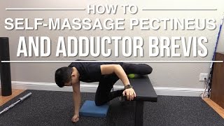 How to selfmassage pectineus and adductor brevis [upl. by Luy167]