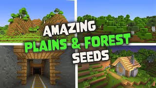 Top 6 Plains amp Forest Seeds for Minecraft  Java Edition [upl. by Gratianna]