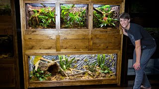 Easy DIY Plywood Reptile Enclosures [upl. by Rumit]