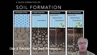 Soil Formation 5 Soil Factors Part 1 [upl. by Ynffit798]