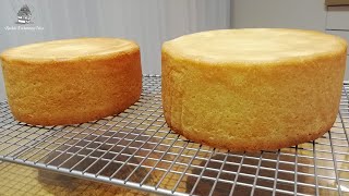 Sponge Cake  FLAT LAYERS  Recipe amp Method [upl. by Carbone]