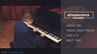 Bösendorfer Imperial Concert Grand The Piano with the Most Keys [upl. by Dav]