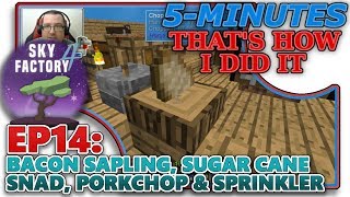 SKYFACTORY 4 EP14  BACON SAPLING SUGAR CANE SNAD amp PORKCHOP HELPTUTORIAL [upl. by Leroj775]