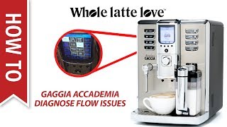 How to Diagnose Flow Issues in the Gaggia Accademia Espresso Machine [upl. by Convery]