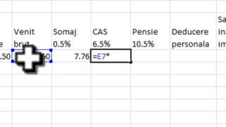 stat de salarii simplu cu Excel [upl. by Martreb]