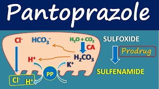 Pantoprazole  Mechanism side effects and uses [upl. by Thetos]