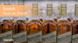 Explore Scotch Whisky and how its made  Diageo [upl. by Joost935]