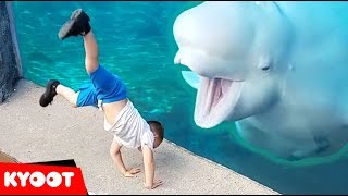 Beluga Whale is AMAZED by Tricks  Funny Aquarium Videos [upl. by Seto420]