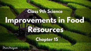 Improvements in Food Resources  CBSE Class 9 IX Science  Toppr Study [upl. by Alul]