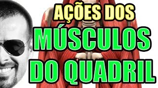 Vídeo Aula 116  Anatomia Humana  Sistema Muscular Ações dos Músculos do Quadril [upl. by December]