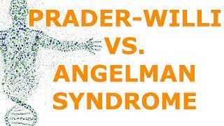 PraderWilli vs Angelman Syndrome Imprinting [upl. by Joellyn]