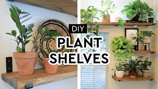 HOW TO DIY A PLANT SHELF  Wooden Industrial Style Shelves  Styling Plant Shelves [upl. by Gail]