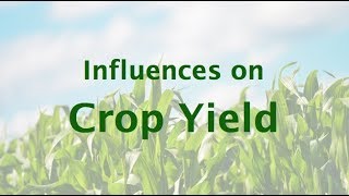 Influences on Crop Yield [upl. by Ert314]