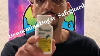 Deworming A Puppy With Safeguard Goat Dewormer [upl. by Enerahs]