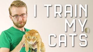 I Train My Cats With PSYCHOLOGY [upl. by Etta]